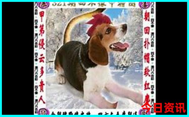 适合三天的旅游景点